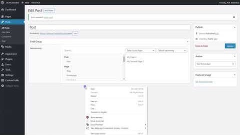 ACF Extended: Relationship Inline Post Edit/Create