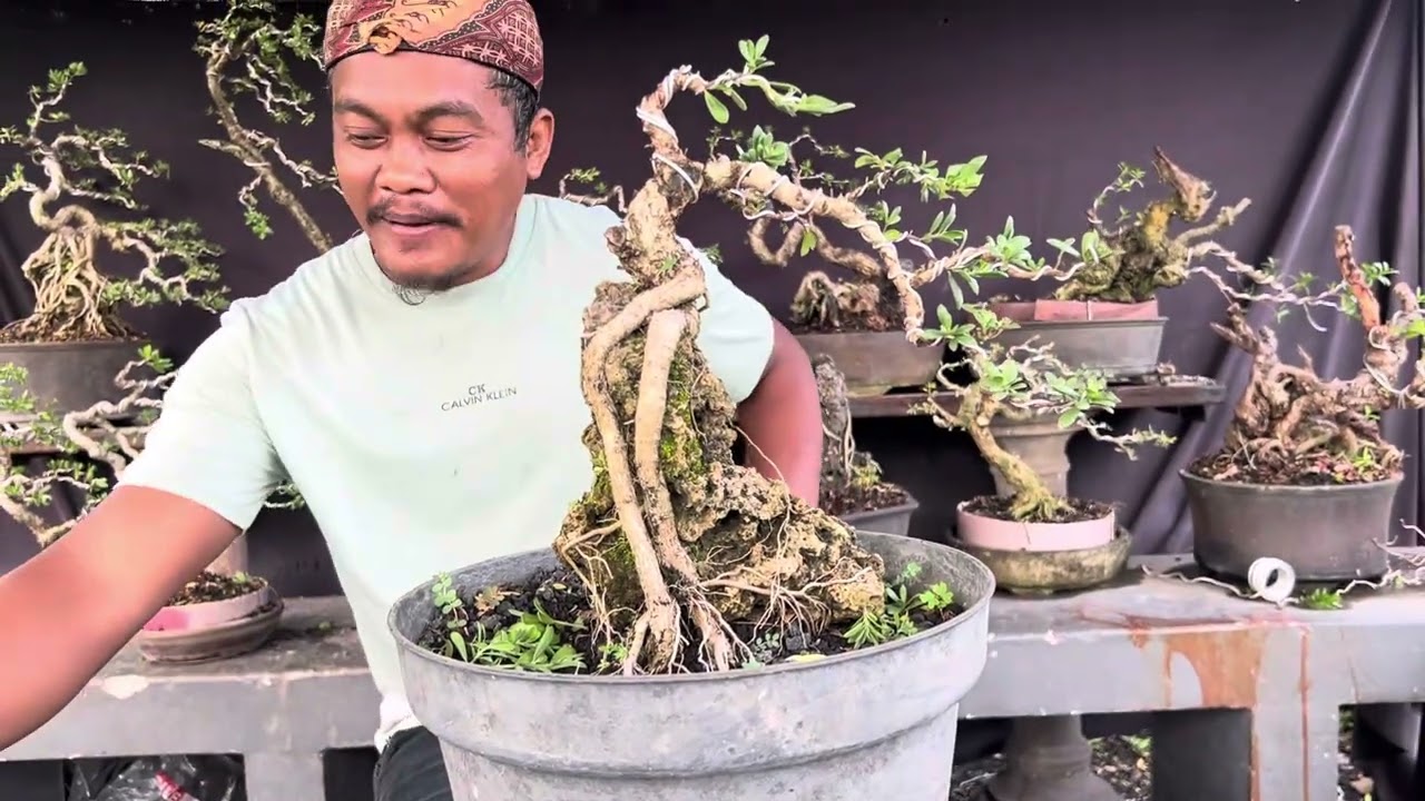 Harga murah nego mesra info & pemesanan by w.a 085649831907 ( Cak koteng )