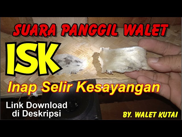 Suara Panggil Walet | SP. ISK class=