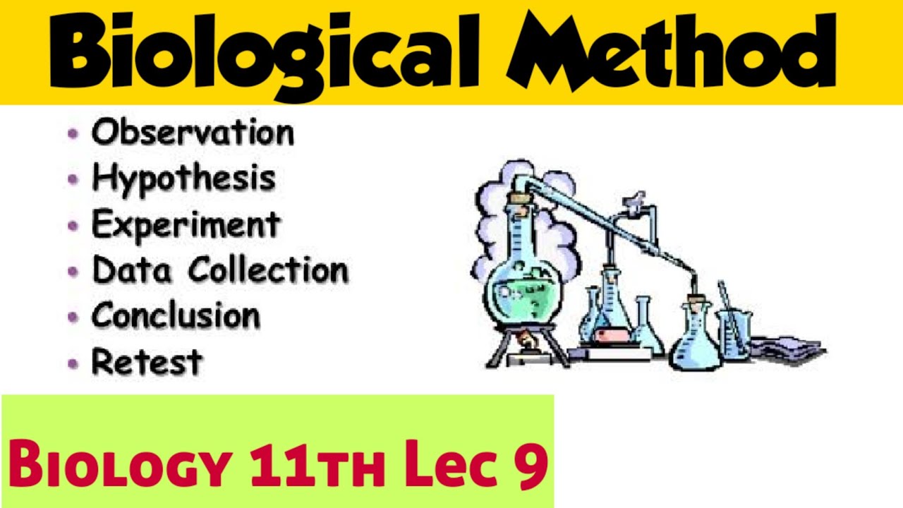 methodology definition biology