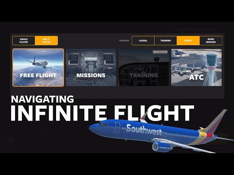 Top 3 CRAZIEST Bugs and Glitches in Infinite Flight