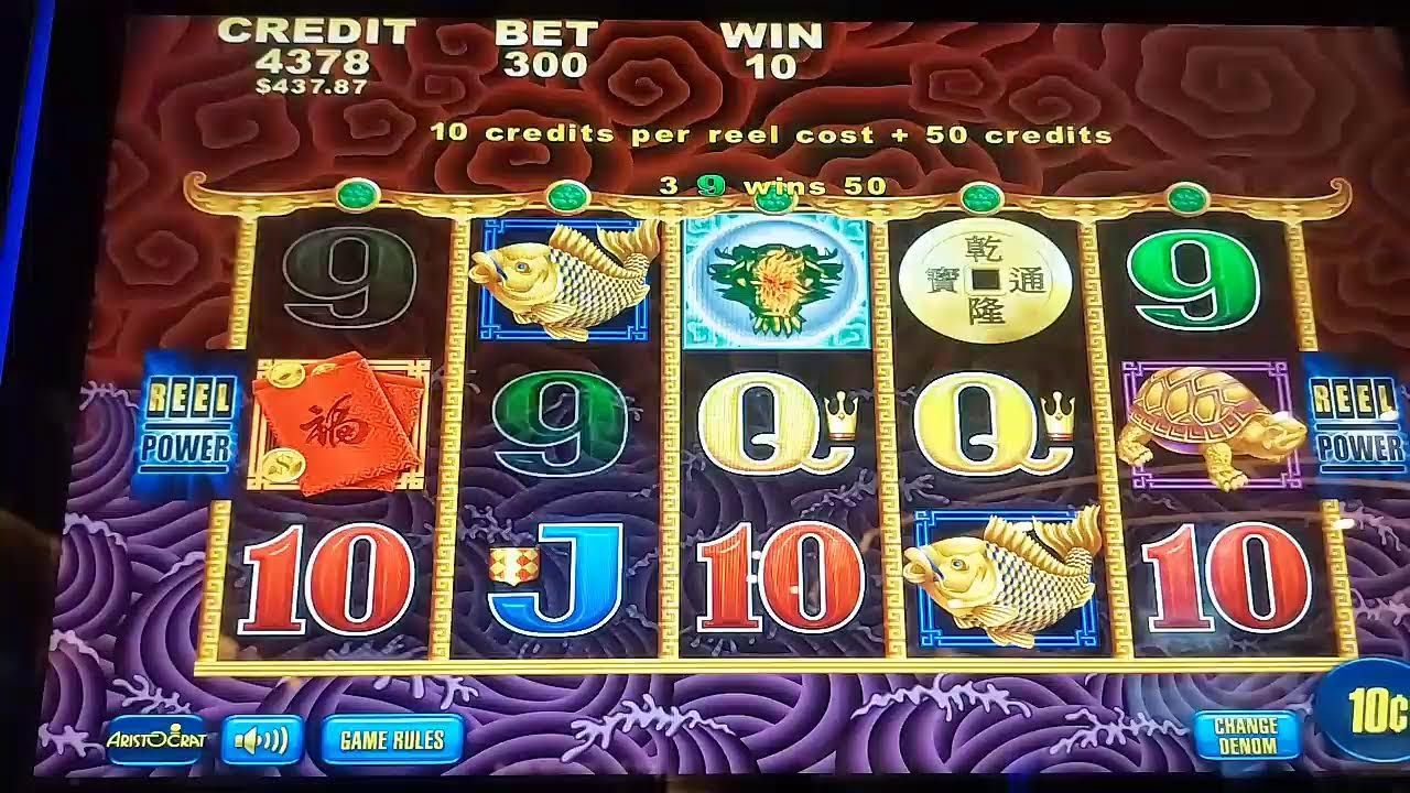 5드래곤초강승부오늘은2만불2연승가즈아 #강원랜드#실시간바카라#실시간슬롯#캄보디아#슬롯바카라