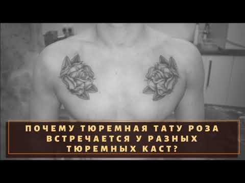 Что означает тюремная тату "Роза"?