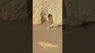 Mars Perseverance en Marte Sol 240 #shorts #mars #marte #space