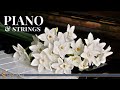 Classical Music - Piano, Violin & Strings