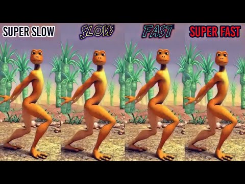 PATILA DANCE Super Slow.Super Fast | R tech