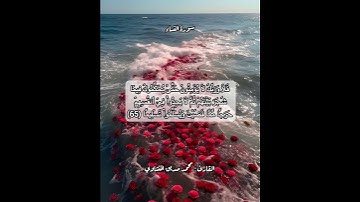 سورة النساء ٦٥ #قرآن #قرآن_كريم #قران #قران_كريم #قرأن #quran
