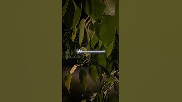 قران/القران الكريم/تلاوة خاشعة 🤍 أرح سمعك 🖤🎧 أرح قلبك المتعب قليلا 😌 اطمئن قلبي بذكر لله 🫀 #قرآن