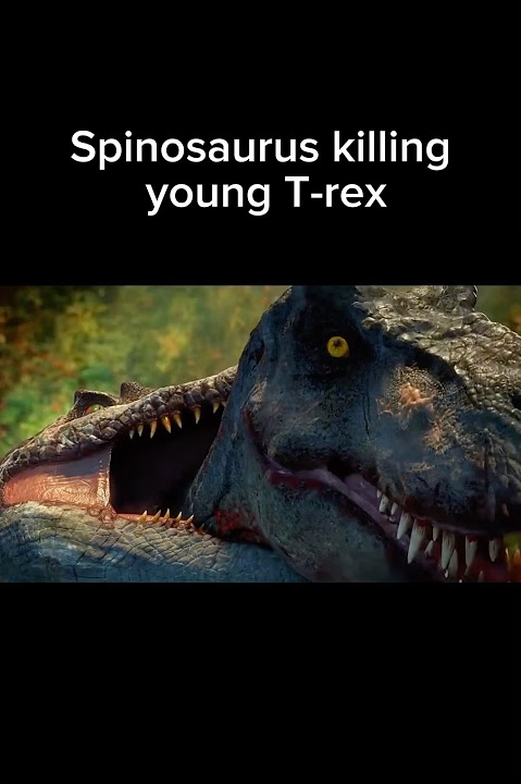 T-Rex Revenge On Spinosaurus