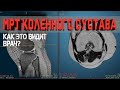 Разбор МРТ Коленного сустава. Что можно найти на снимке?