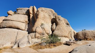 California Desert - Joshua Tree National Park