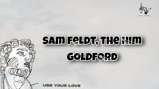 | Vietsub + Lyrics | Use Your Love - Sam Feldt & The Him, GoldFord