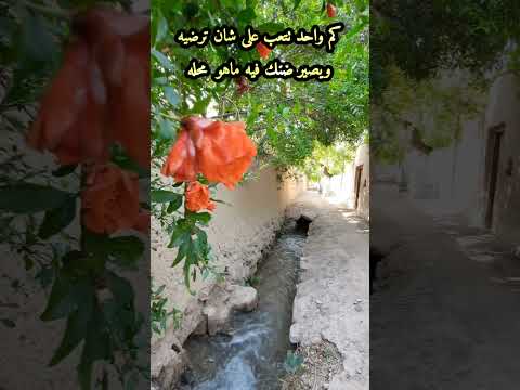 مالا يداري خاطرك لا تداريه أبيات في الصداقة