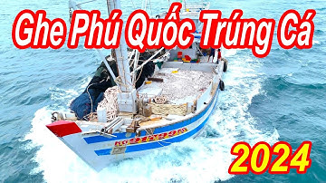 Ghe Lưới Bao Khủng Của Đại Gia Tập Trung Tại Cảng Cá An Thới - Phú Quốc