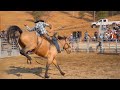 Wade Sundell on Owl Hoot Trail | Veater Ranch All-Star