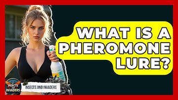 What Is A Pheromone Lure? - Insects and Invaders