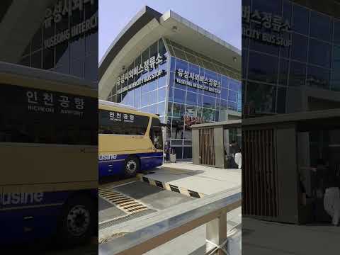   유성시외버스터미널 인천공항