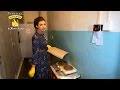 Фирменный магазин Легка хода - Ревизор: Магазины в Житомире - 01.05.2017