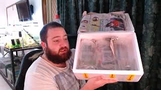 FNQ Unboxing Just a Normal Day by Norbitts Adventures 191 views 2 years ago 2 minutes, 39 seconds