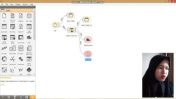 ANALISA SEGMENTASI PASAR Menggunakan orange DATA MINING