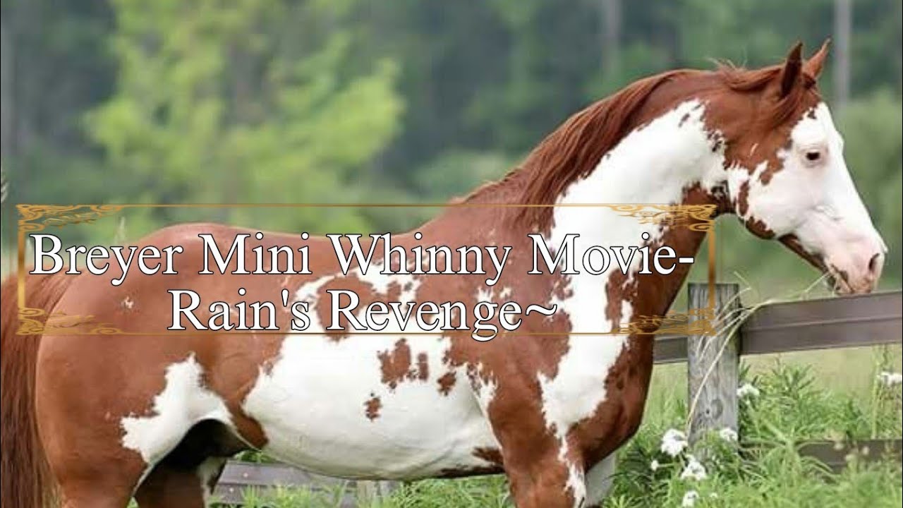 breyer mini whinny movie- rain’s revenge plot part 5