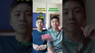 Beginner Versus Advance Chinese (Tree)
