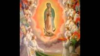 Video thumbnail of "los angeles azules virgen de guadalupe"