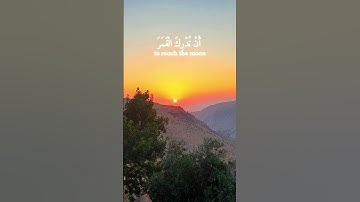 القارئ عبد الباسط عبد الصمد القرآن الكريم #اكسبلور #عبدالباسط_عبدالصمد #المصحف #القرآن_الكريم #لايك