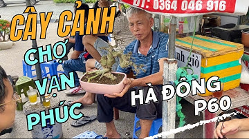 Cẩy Cảnh: Chợ Vạn Phúc-Hà Đông P60