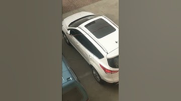 how fishing net works animation #fishing #fishcurry #catch