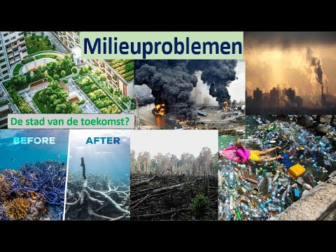 Video: De belangrijkste milieuproblemen van de Zwarte Zee