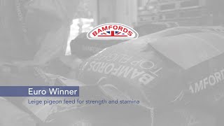 Euro Winner Pigeon Feed