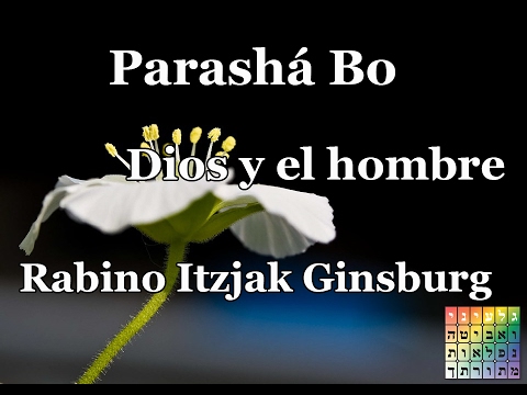 DIOS Y EL HOMBRE DIOS Y EL HOMBRE