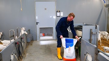 Zo bereid je de pens goed voor op het spenen van geitenlammeren