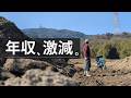 【AI時代】キャリア全捨て→農業へ。お金の不安どうするか問題。