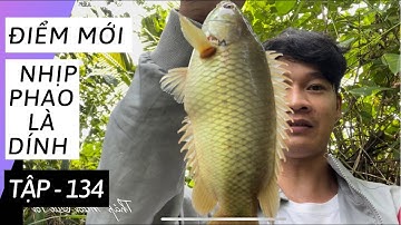 Tập 134 - Câu Cá Rô Đồng, Câu Ngay Động Cá Rô Nhịp Phao Là Dính