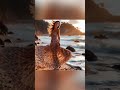 #ai #nature