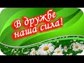 В дружбе наша сила!❤️ Душевная видеооткрытка❤️Берегите друг друга!❤️