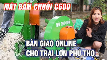 Bàn Giao Online Máy Băm Chuối C600 Bình Quân Cho Trại Lợn Ở Phú Thọ