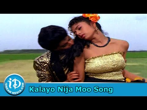 manavarali-pelli-movie-songs---kalayo-nija-moo-song---vidyasagar-songs