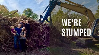 What should we do with all these stumps?