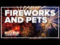 Keep your pets safe during Fourth of July fireworks with these 5 tips