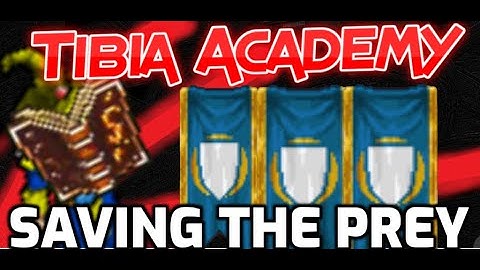 Tibia Academy - Saving the time on your defense prey