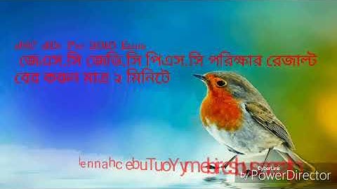 JSC JDC Psc exam result 2018