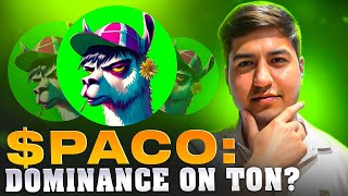 Will $PACO be the Memecoin Leader