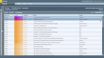 Nessus Perimeter Service Usage  PCI ASV Validation and SecurityCenter Integration