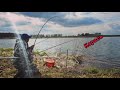 Карась: насадка, прикормка и наживки 🎣