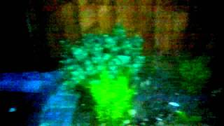 Nokia E6 review: HD video sample