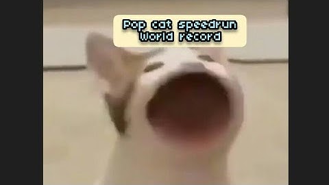 POP CAT SPEEDRUNS POPPING