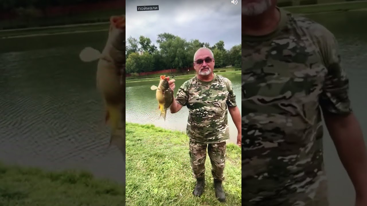 KILLER FISH 007 !!! TAGANKA 2023 !!! 